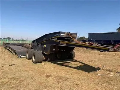 Rimorchio ribassato a collo di cigno rimovibile